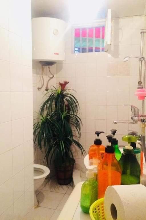 Lika's Hause *